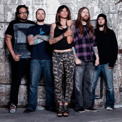 Straight Line Stitch