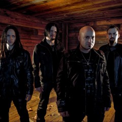 Disturbed